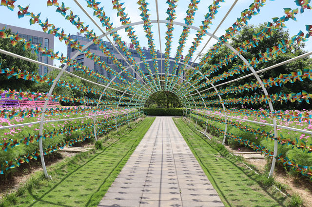 花海公園，攝影愛好者的福地