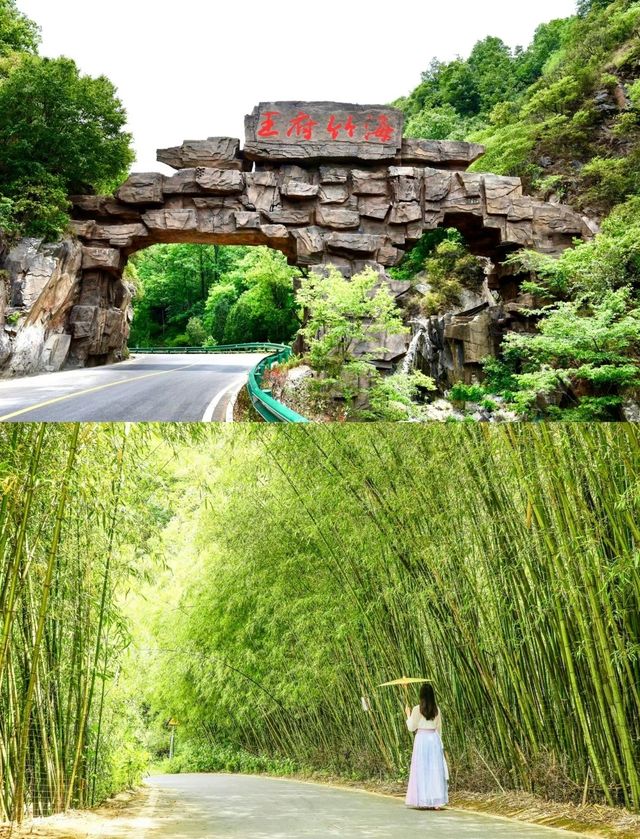 洛陽周邊避暑聖地～王府竹海