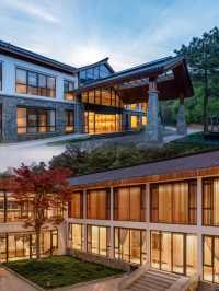打卡張天愛都去的民宿，紹興新昌天姥隱，山谷雲海間的森林樹屋
