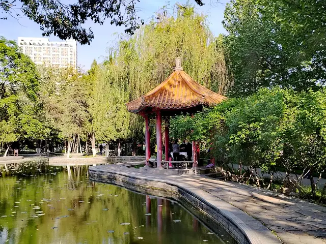 ผู้บุกเบิกการปฏิวัติ