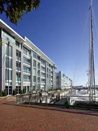 🌟 Auckland's Finest: Sofitel's Harbour Elegance 🌟