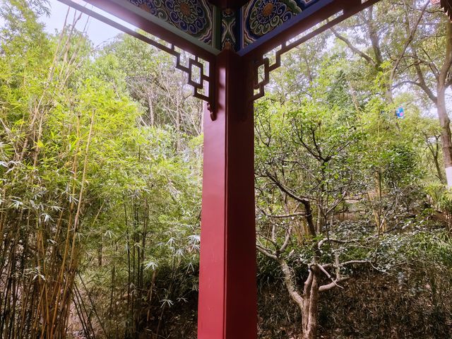 綿陽富樂山