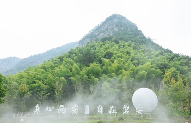磐安花溪一幅流動的畫卷