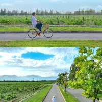 逃離北京|打工人挑戰週末旅遊第1站懷來
