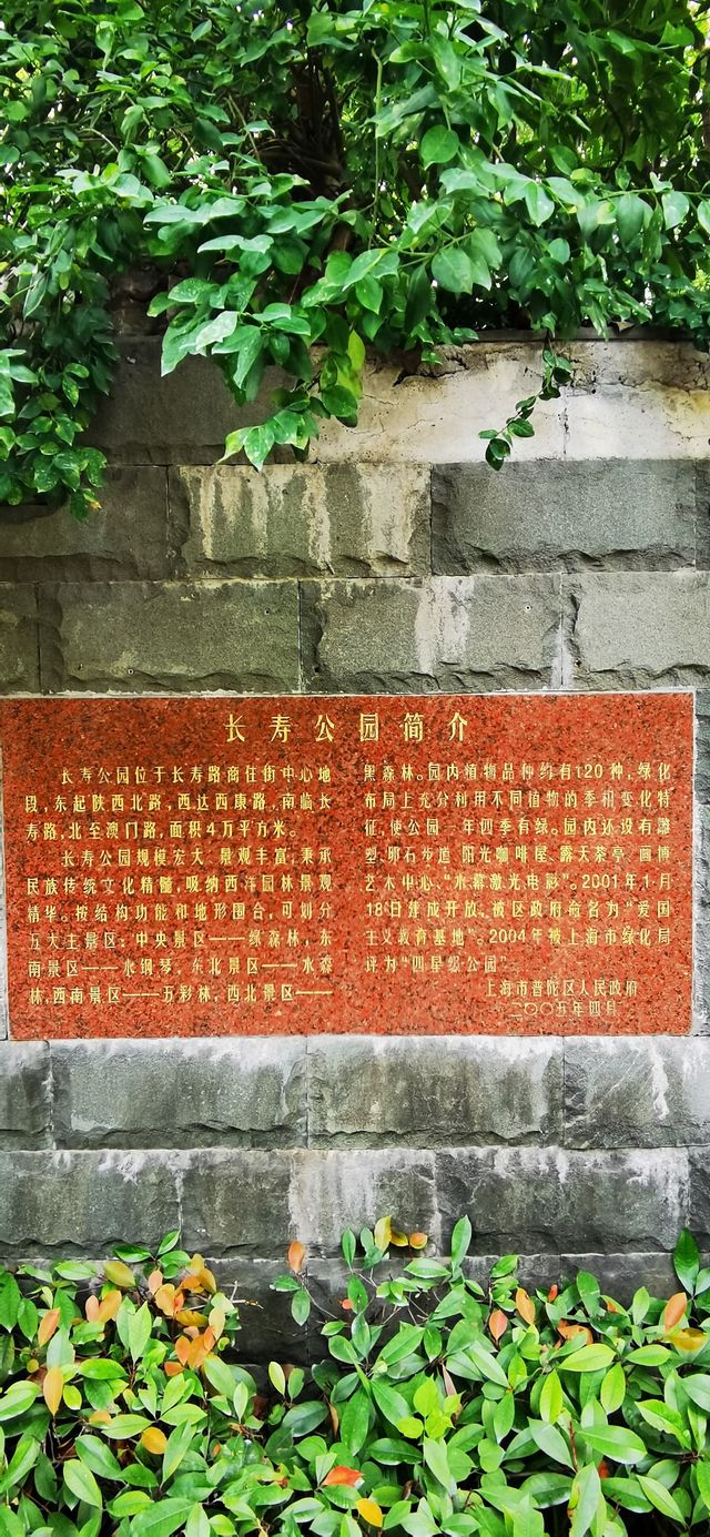 長壽公園：普陀人家門口的“清涼世界”