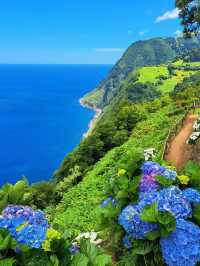 葡萄牙仙境Azores ,欧洲夏威夷名不虛傳！