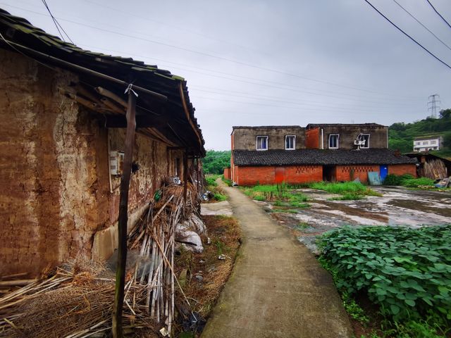 雨漫內自邊界的中溪河畔