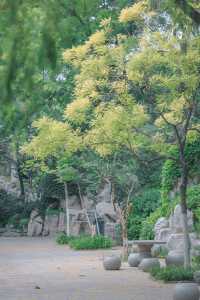 珍珠泉｜玉輪滾滾無時已，珠顆涓涓盡日生