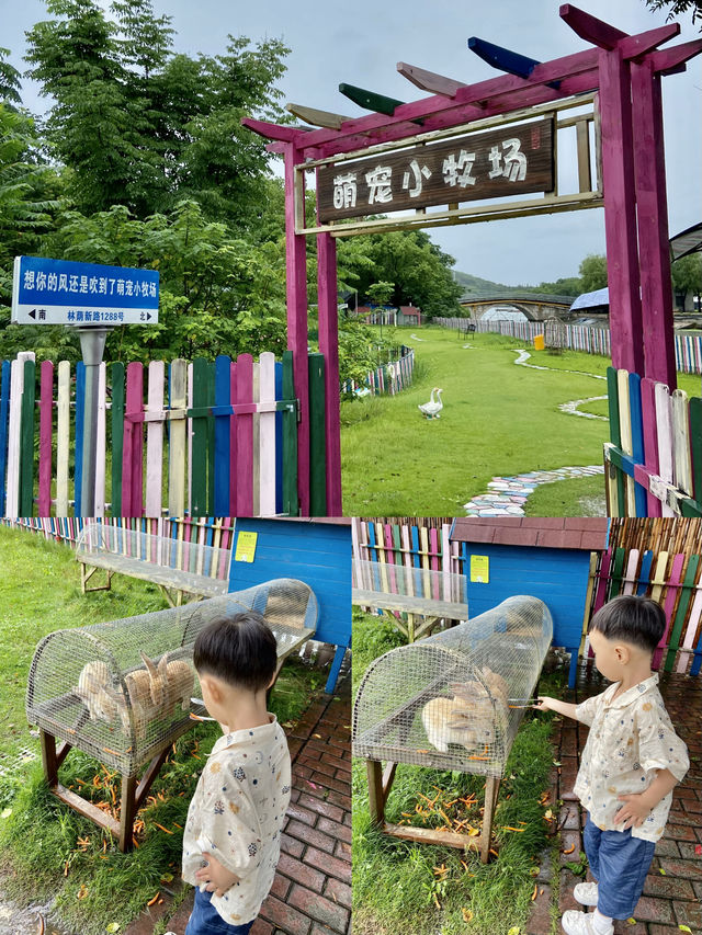 暑期江浙沪遛娃上海佘山茂御臻品之選酒店