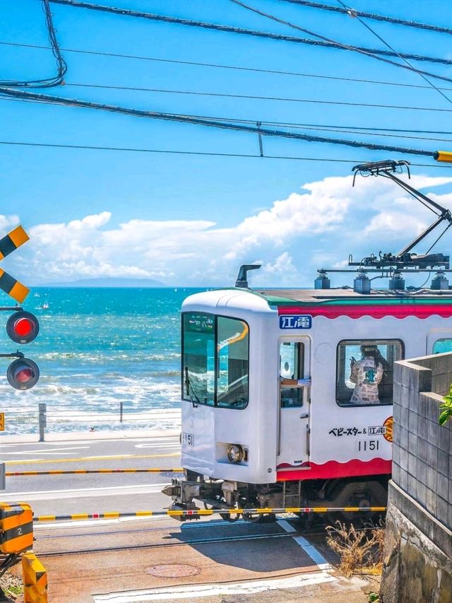 7 Days of Luxury | Neither Kamakura Japan❤️