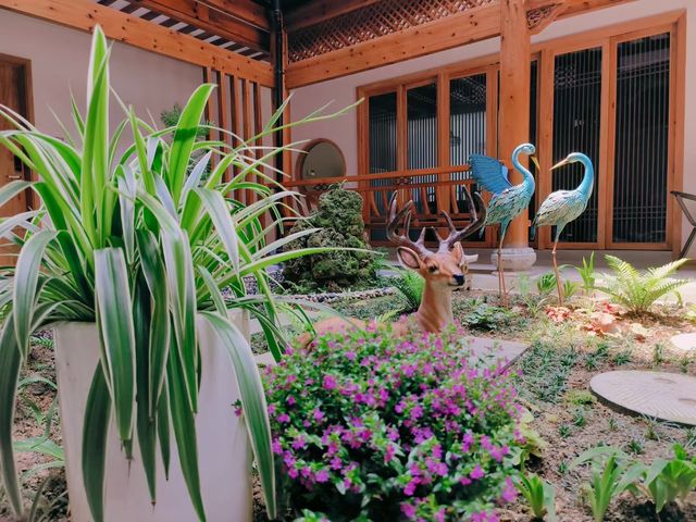 黃山民宿|花園院子 花園餐廳|戶外泳池