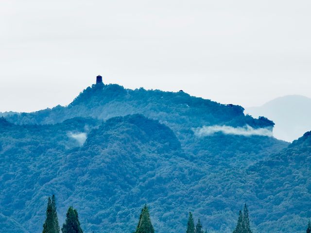 邂逅一場視覺與心靈的盛宴