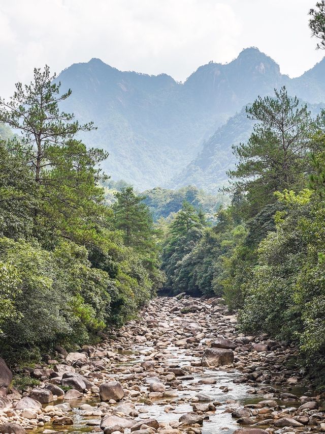 江西德興避暑納涼好地方：大茅山梧風洞