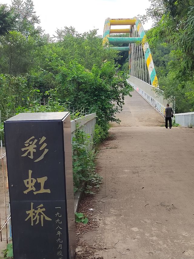 鐵嶺龍首山，好多好多松鼠！