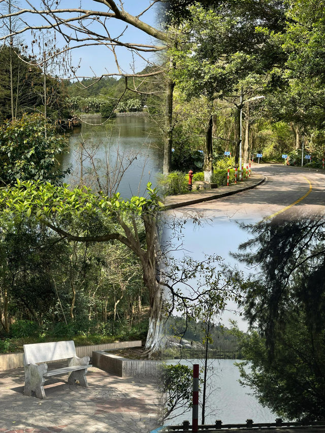 佛山三水森林公園｜免費感受天然氧吧