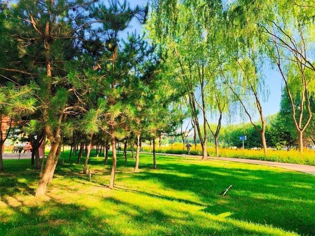 寧夏吳忠還有這麼美的公園