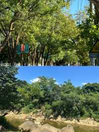 永州零陵古城｜柳宗元筆下的小石潭記