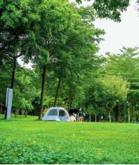 深圳阿勒泰!?就在南山区!