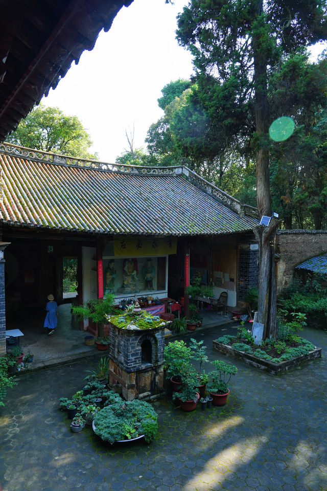 大理小眾旅拍絕佳勝地|巍寶山