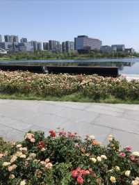 我勸你，千萬別錯過成都這片海
