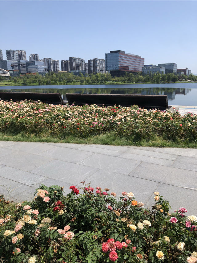 我勸你，千萬別錯過成都這片海