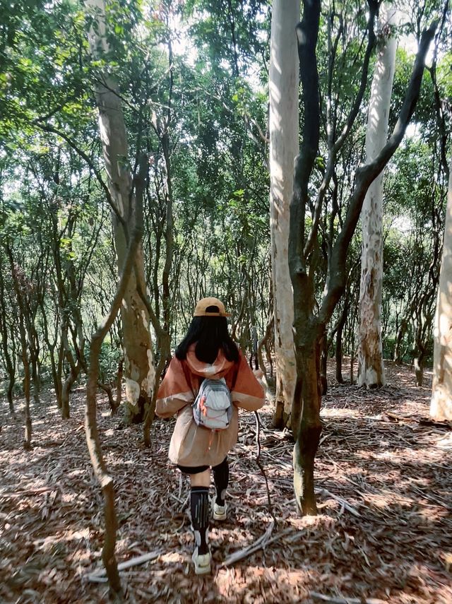 深圳梅林山郊野徑3小時徒步攻略