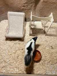 五角場全新開幕 | 隱藏在城市喧嘩中的自然之趣。