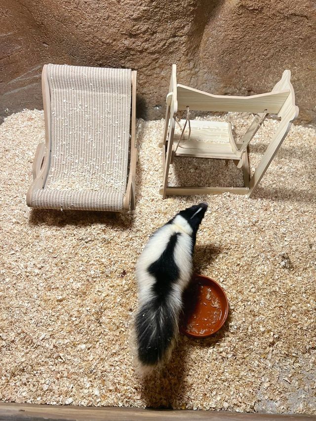 五角場全新開幕 | 隱藏在城市喧嘩中的自然之趣。 五角場全新開幕 | 隱藏在城市喧嘩中的自然之趣。