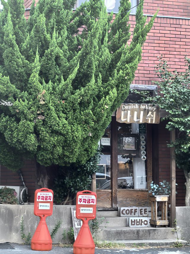 濟州島｜睇咗太多海景（bushi）但窗景view仲會持續..。