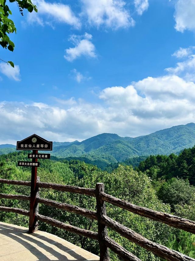 那一日，清晨的麥積山石窟被煙雨籠罩，仿佛一幅朦朧的水墨畫卷。