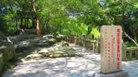 烏山公園石林景區。