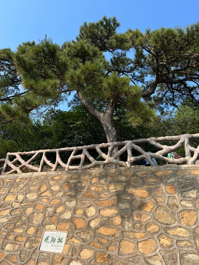 北京西山森林公園｜走進綠色仙境，感悟寧靜之美！。