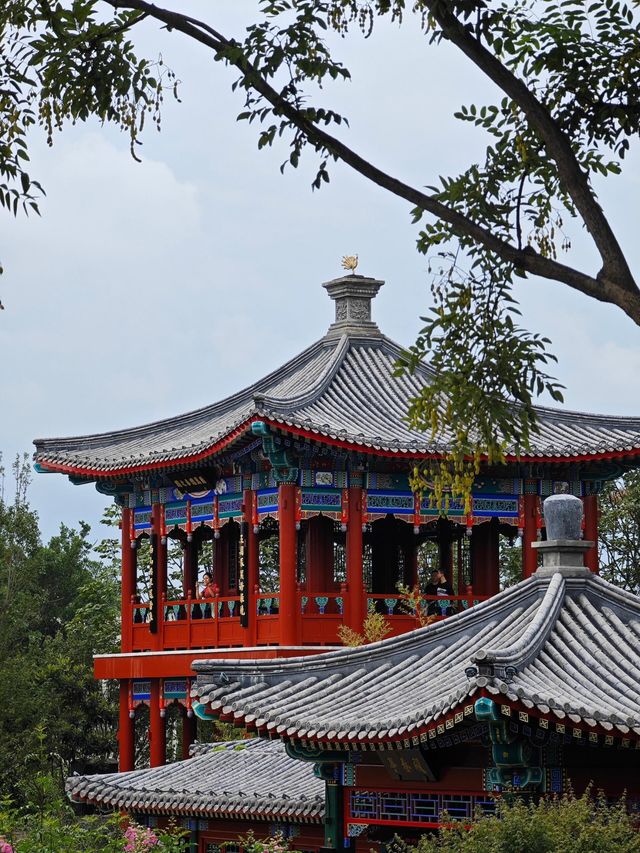 成都世園會|都市生活後花園。
