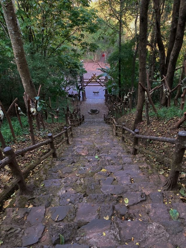 普洱西盟勐梭龍潭景區 | 神秘的人間仙境。