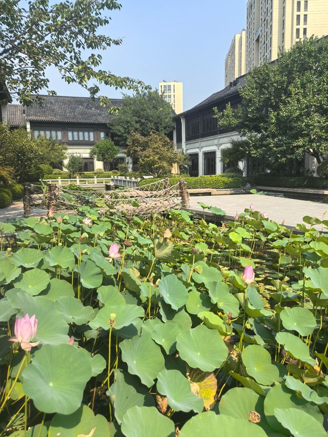 齊河新開業的寶藏酒店——安德湖涵田酒店。