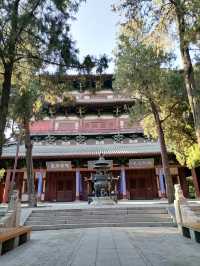 正定隆興寺。
