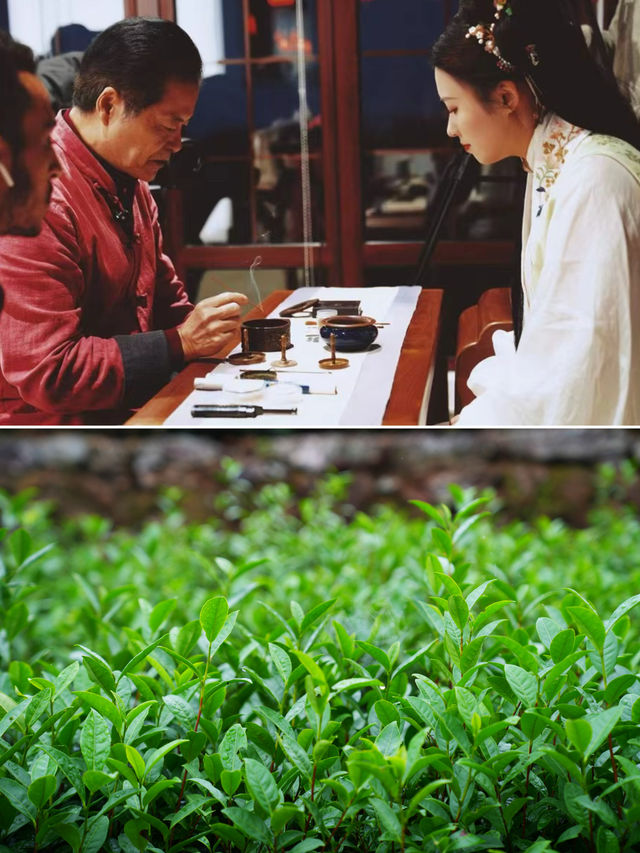 杭州品茶｜江南的秋天好愜意｜徑山遊玩攻略。
