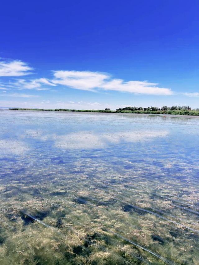 烏梁素海，一個令人流連忘返的仙境！。