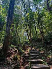 南平武夷山｜自然與文化遺產的完美融合。