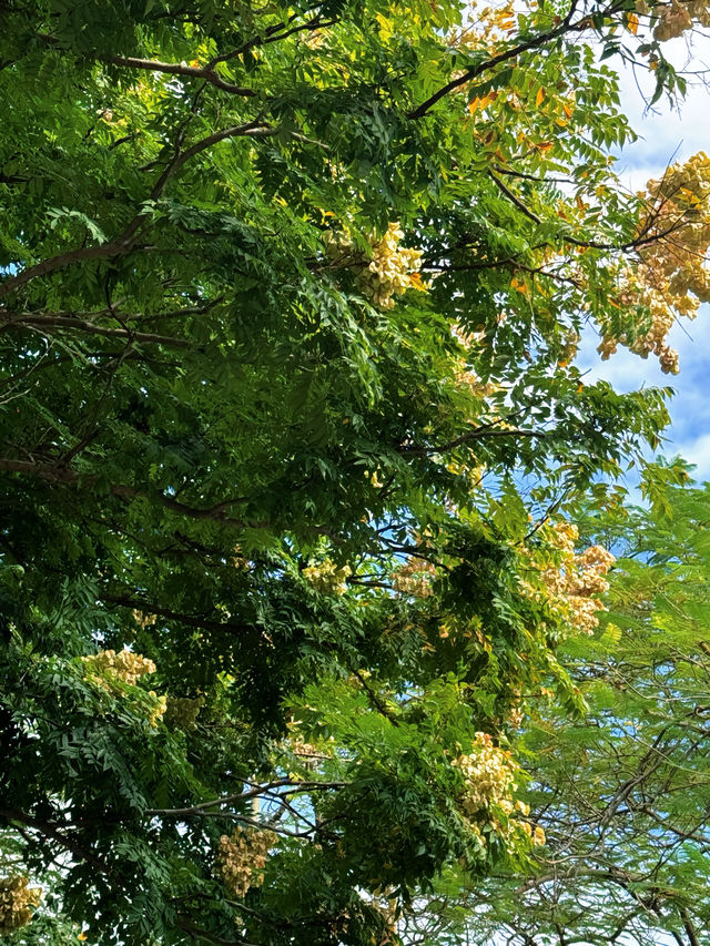 深圳海山地鐵站，見山見海。