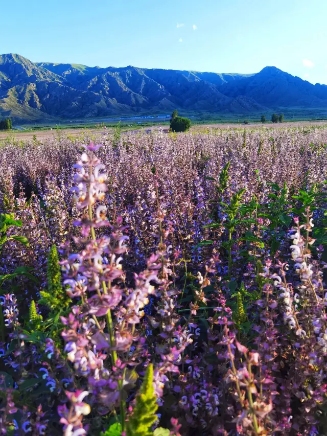Don't miss these places on your 2-day trip to Sayram Lake!