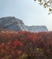 荒野紅葉，異星礦場。