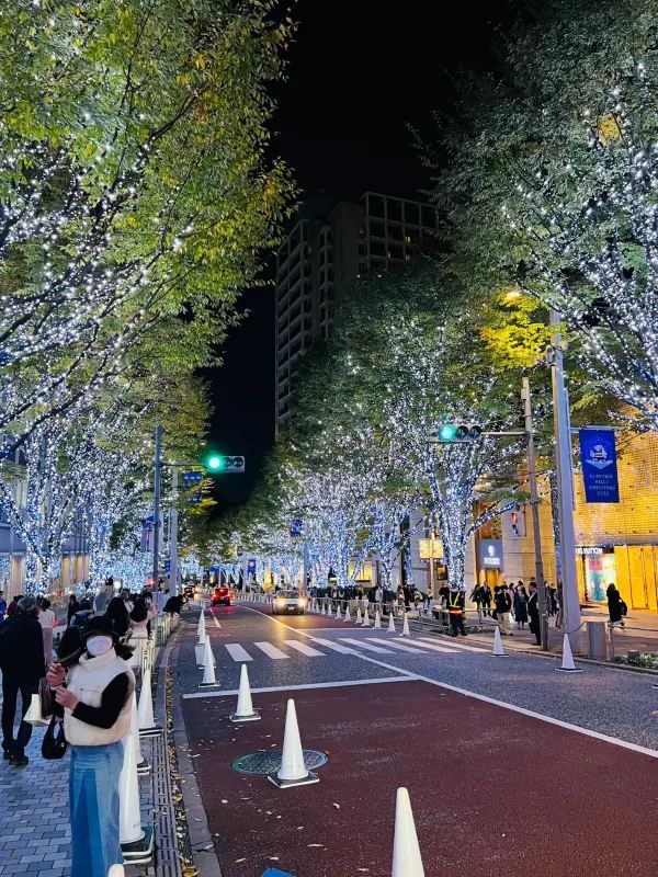 Roppongi Christmas 2022 has begun