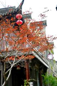 逛南京城必到老門東。