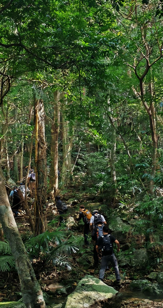 海南深山大環線徒步·瓊中白馬嶺1-4峰連穿。。