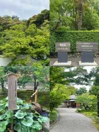 Nagoya Day 1: Li Bai's 'White Emperor City' Inuyama Castle Day Trip