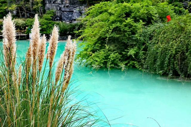 上海小九寨溝~~吳淞炮台灣國家濕地公園。