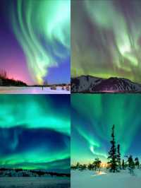 哈爾濱·漠河真的追到了我的人生極光!。