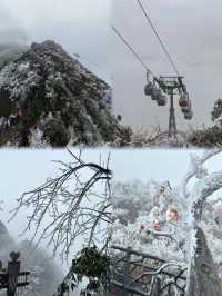 清遠金子山旅遊避雷攻略。
