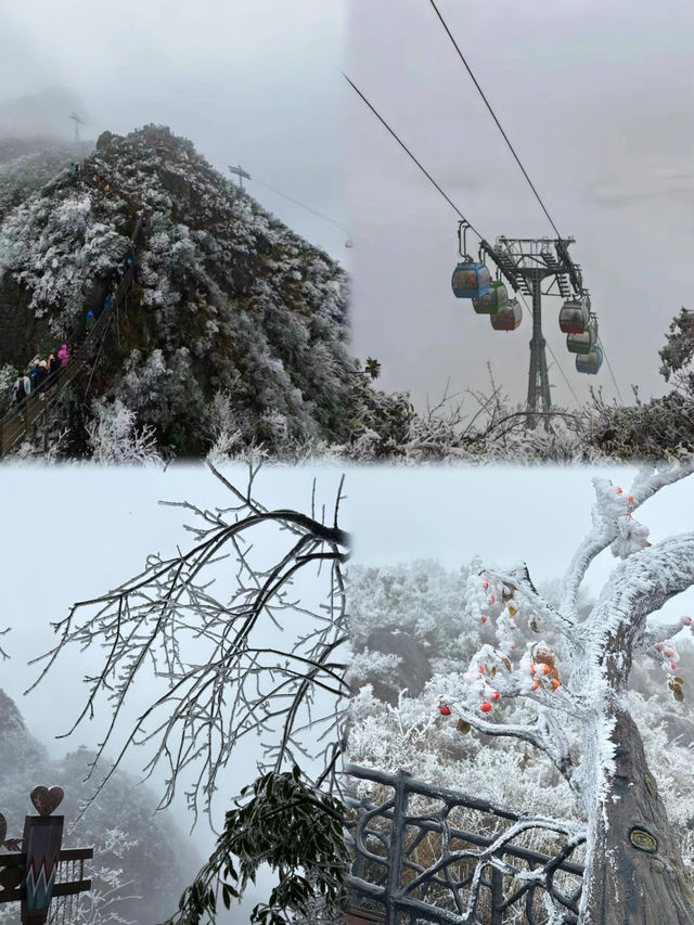 清遠金子山旅遊避雷攻略。